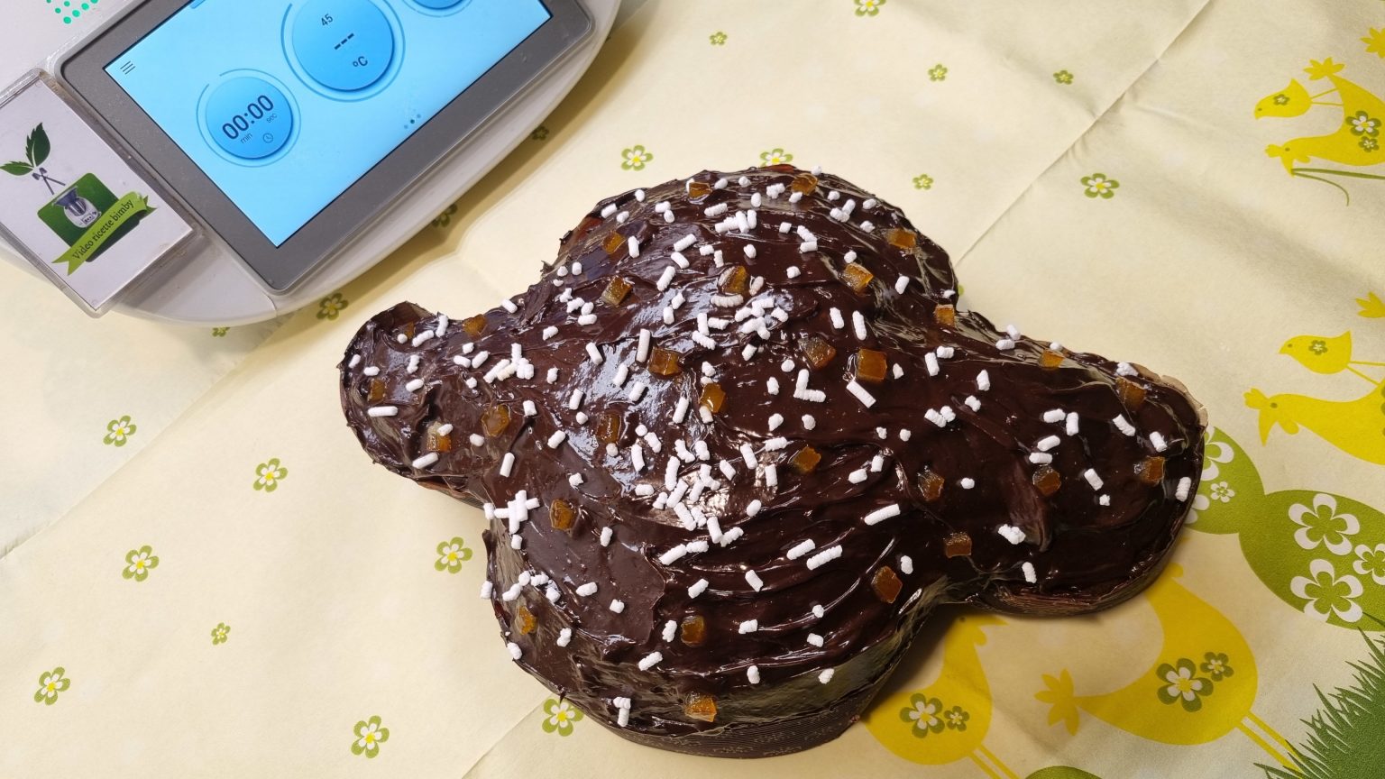 Colomba all'arancia e cioccolato