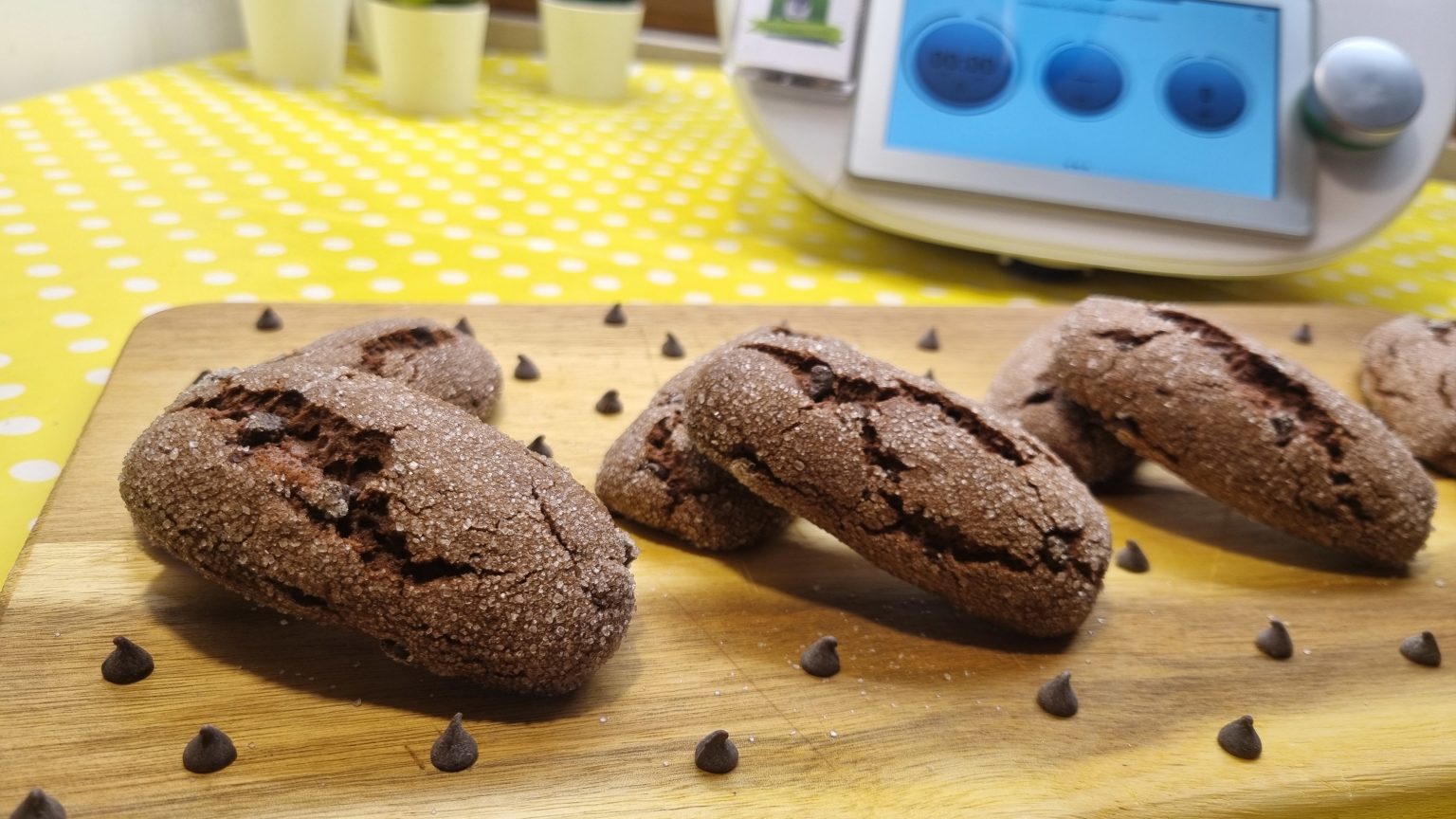 Biscotti da inzuppo al cioccolato